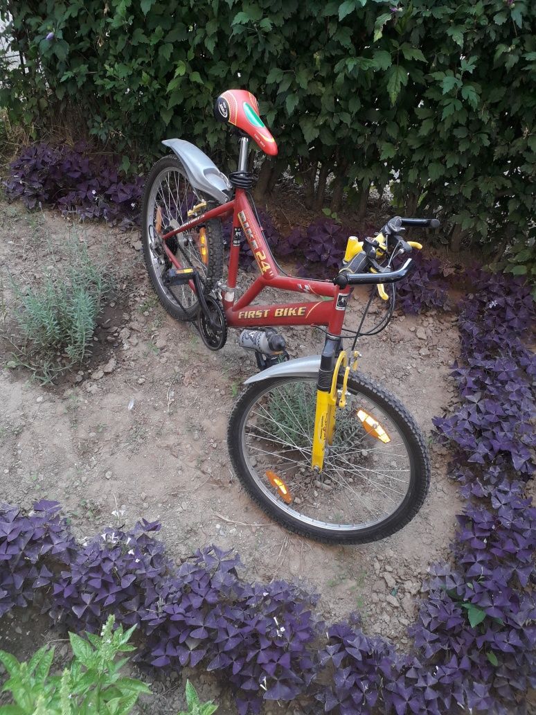 Bicicletă FirstBike