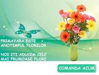 Florarie online - Livrare flori la domiciliu in Galati si Braila