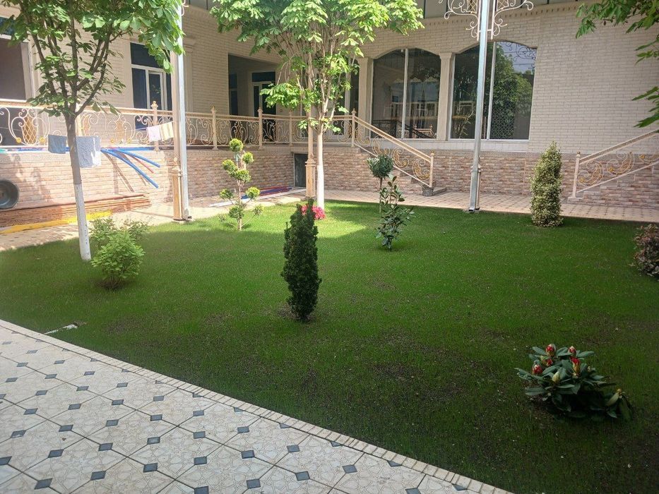 Gazon ekish va avto palif