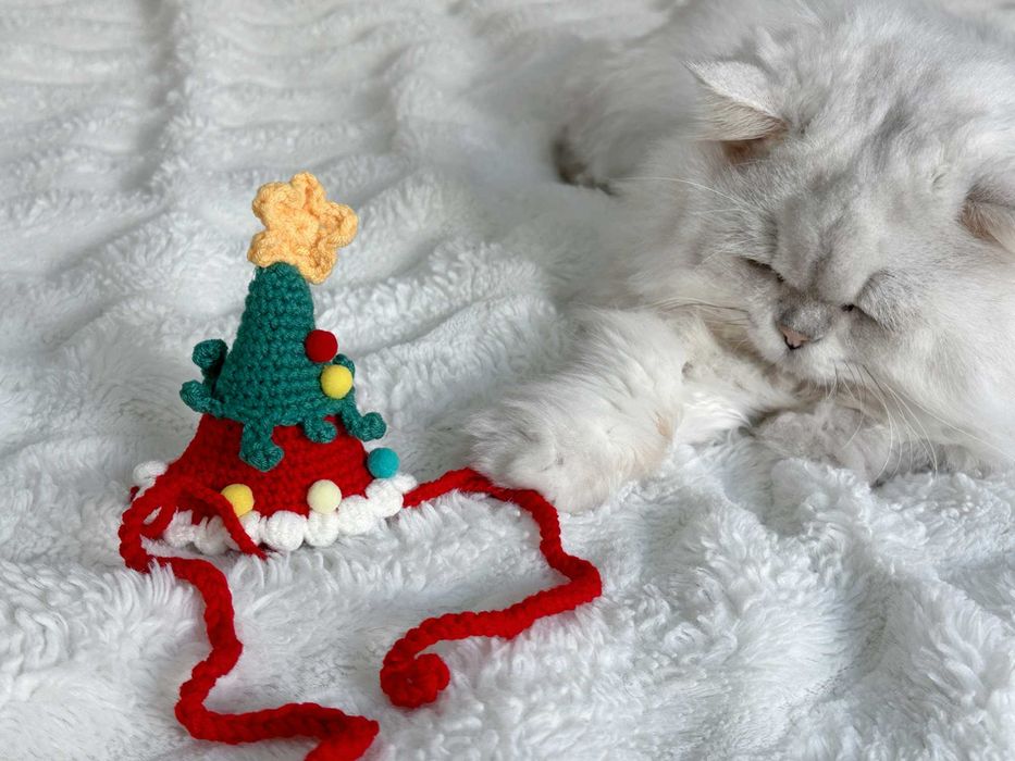 Коледна шапка елха за котка или малко куче – сладък празничен аксесоар