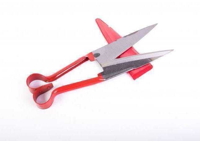 Foarfeca pentru tuns oi,câini,etc de 34cm lungime,16,5cm lățime,nouă