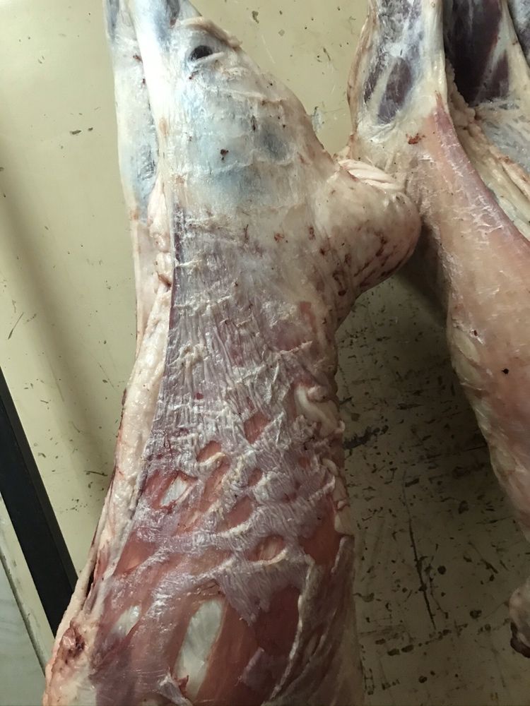 Продам баранов всегда в наличии