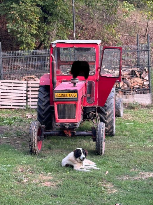 Tractor Universal 650