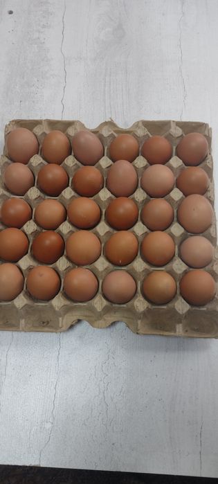 Яйца куриные домашние на стол