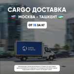 КАРГО. Доставка: Москва - Ташкент - Москва