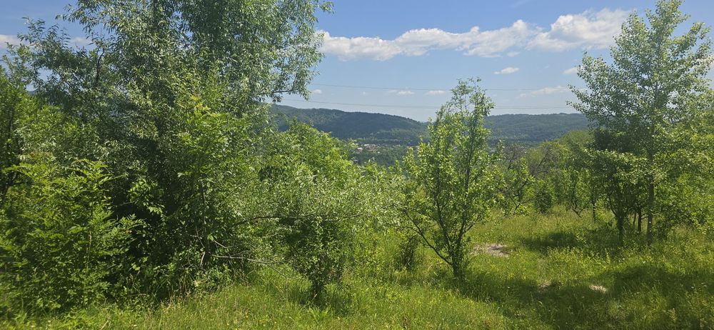 Vand/schimb garsoniera Ploiești  teren Sotrile 2237mp.