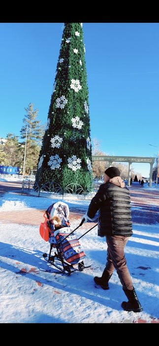 Продам санку коляску, дешево