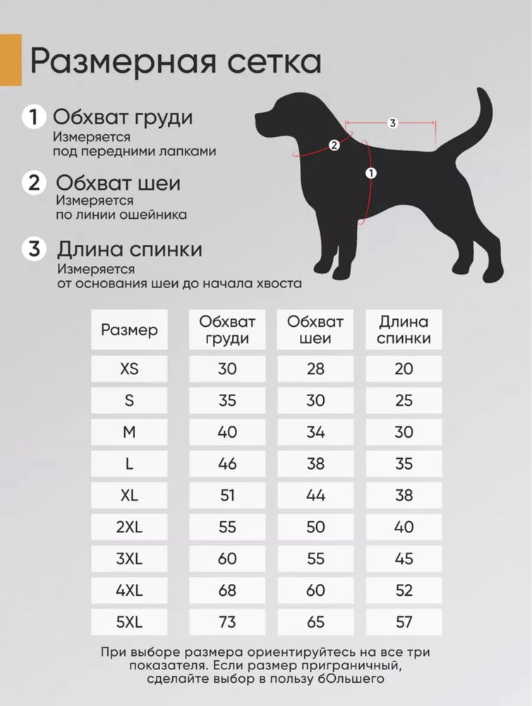 Одежда для собак