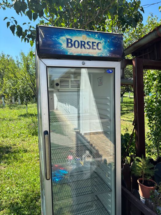 Vitrină nefuncțională BORSEC