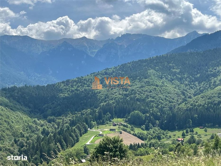 Teren Bran- zona Simon 10283 mp , Balaban, Brasov