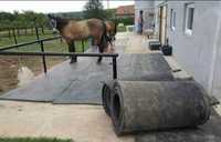 Vand Banda de Cauciuc ideala pentru boxe de cai, Animale, Balastiere