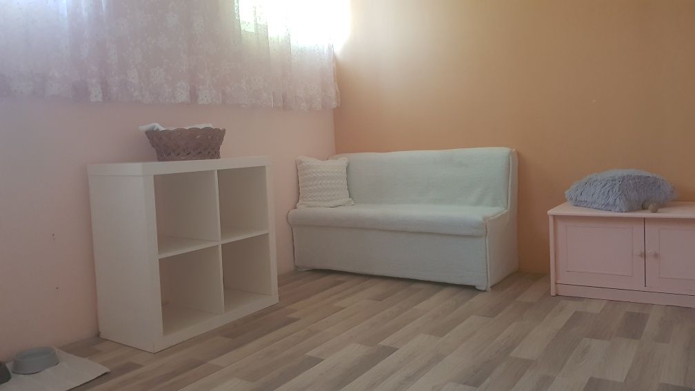 Хотел за котки в Пловдив