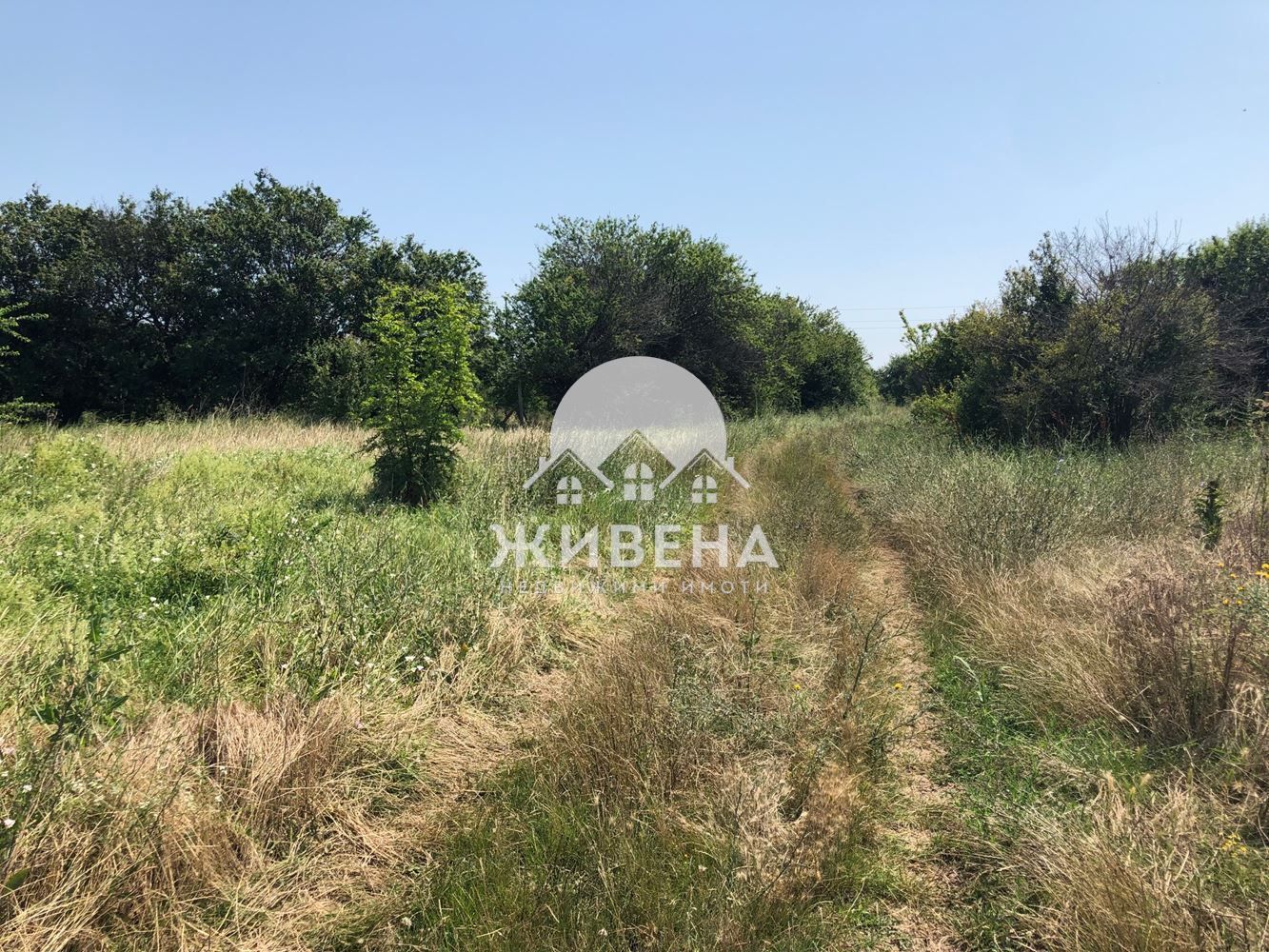 Продавам парцел в с.Камен бряг, площ 2817 кв.м