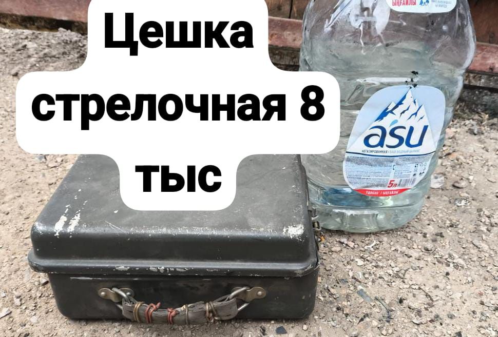 Цешка стрелочная 8000т