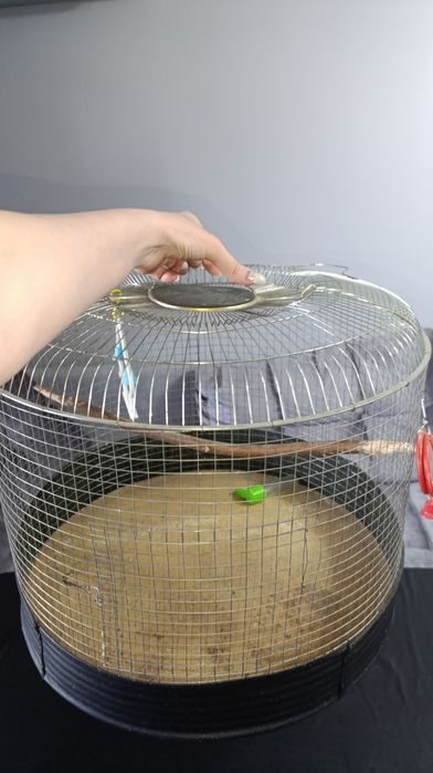 Б.у.Большая Клетка.