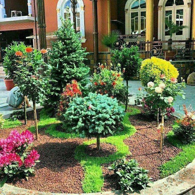 Sadovnik boğbon xizmati