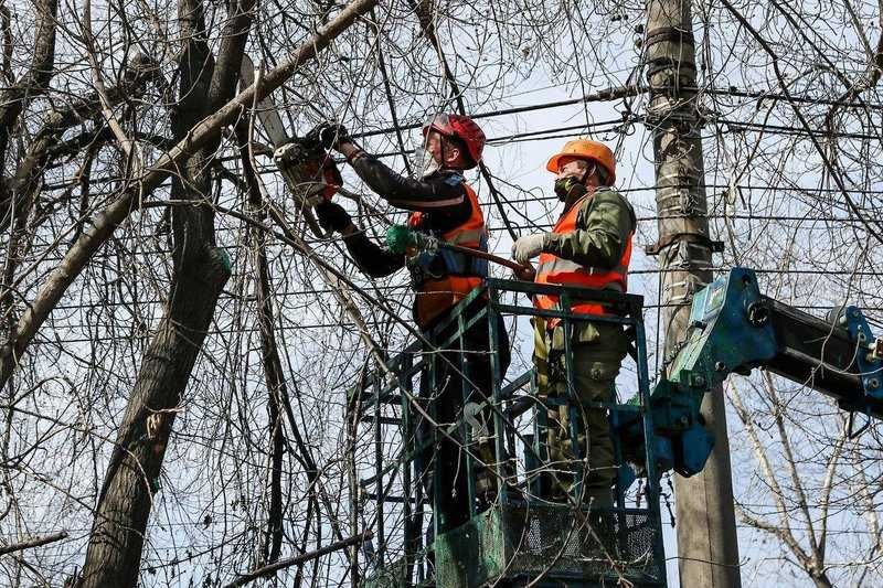 Санитарная обрезка деревьев и кустарников  Комплексный подход