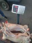 Прием мясо баранины