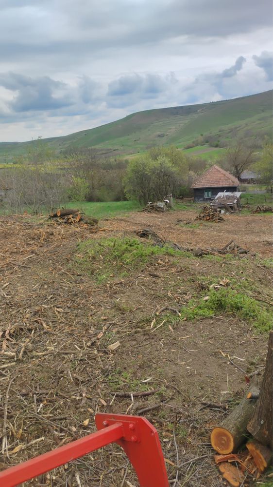 Servicii de Curățare / Defrișare terenuri cu tocător de vegetație