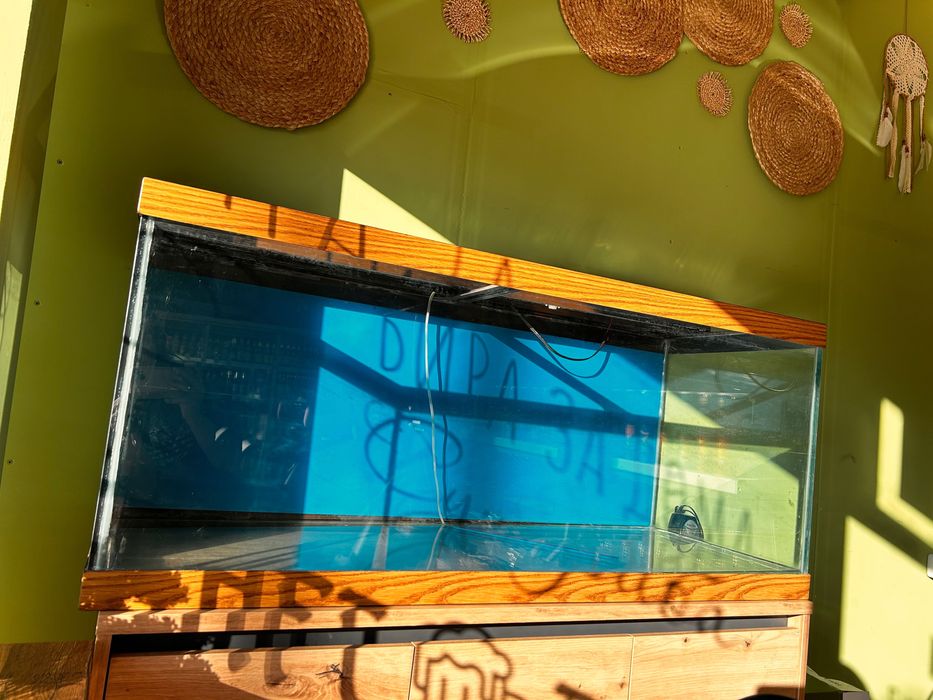 Аквариум за дома