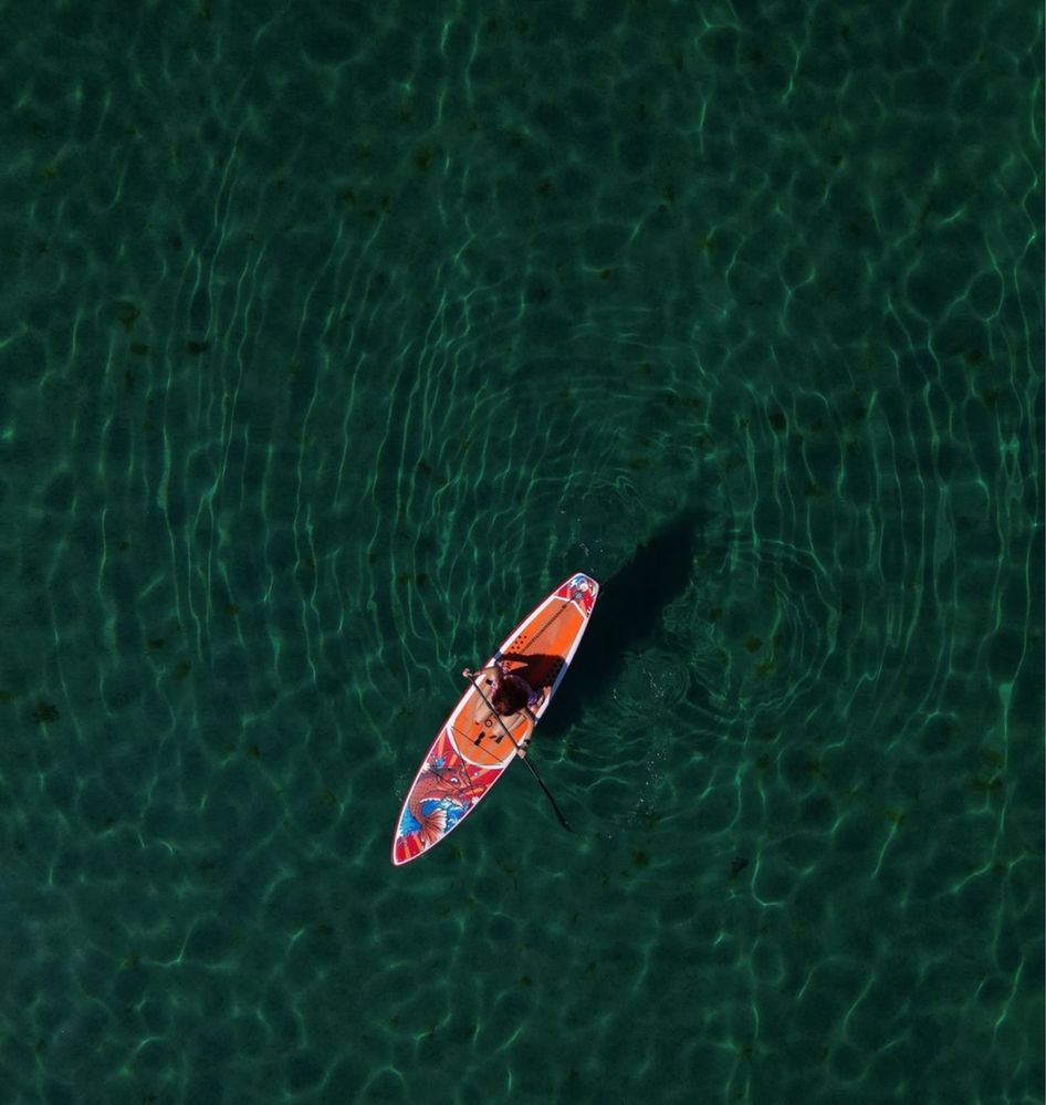 Stand UP Paddle Board, SUP борд, Стенд ъп падъл борд, СЪП - Koi