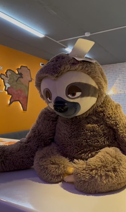 Новый жумсак кыздарынызга берсениз болат