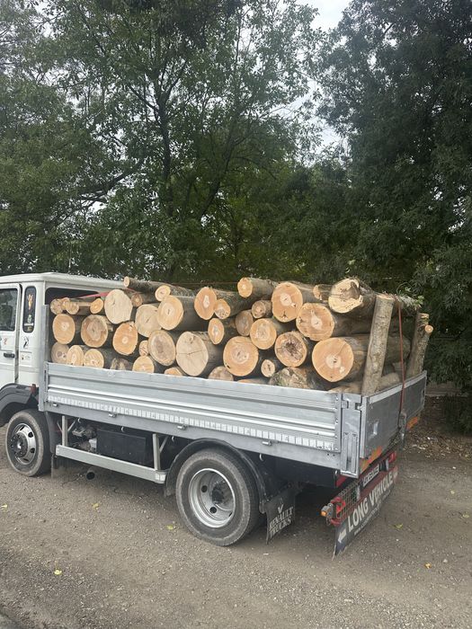 Lemne de fic esenta tare