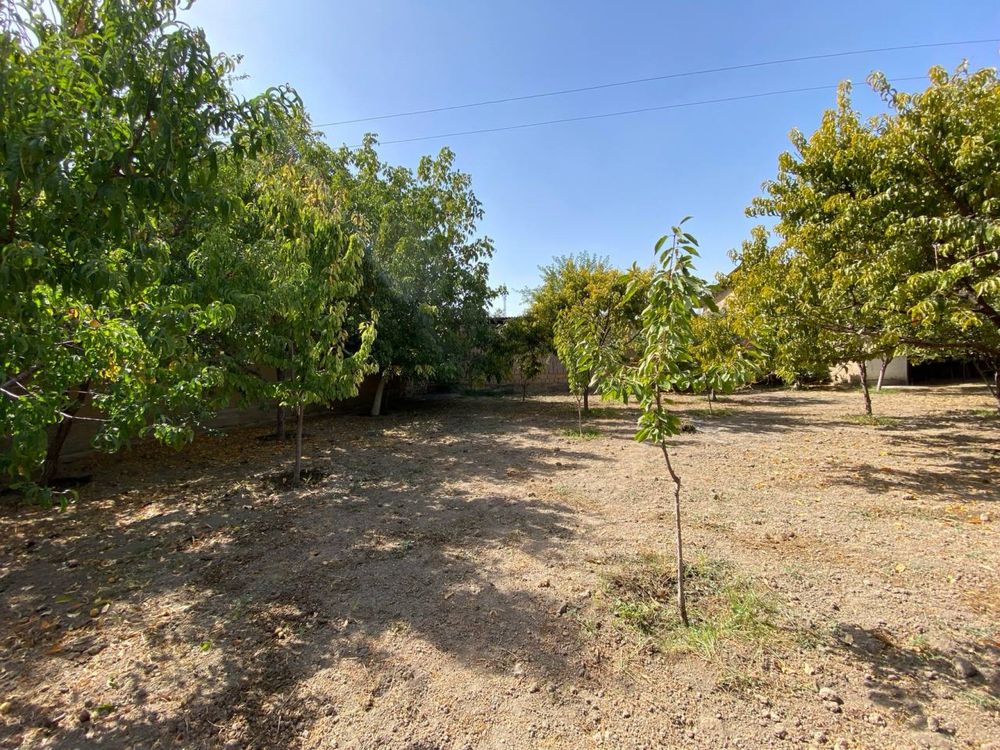 Qibray Tinchli mahalla yer sotiladi arzonga 5.7 sotx 22x26