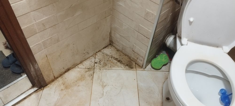 Професионално почистване  Професионално пране на меки мебели и мокет