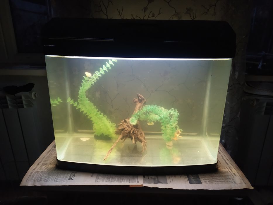 Заводской аквариум JEBO 110л + бонусы и рыбки.