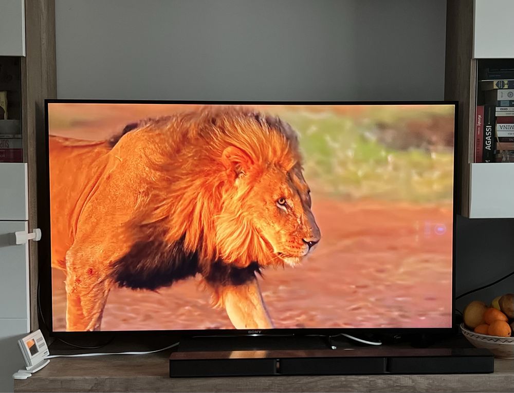 Smart TV 4K Sony Bravia KD-55XD8005 138,8cm (55’)