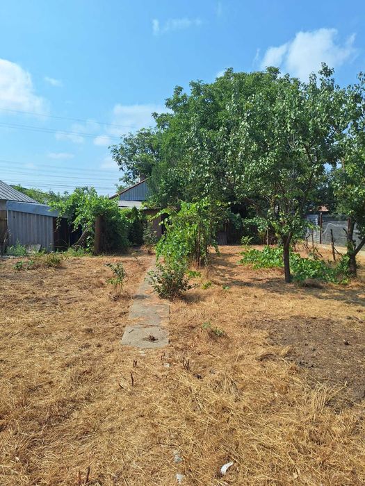 Vand casa cu teren Cazasu, jud. Braila