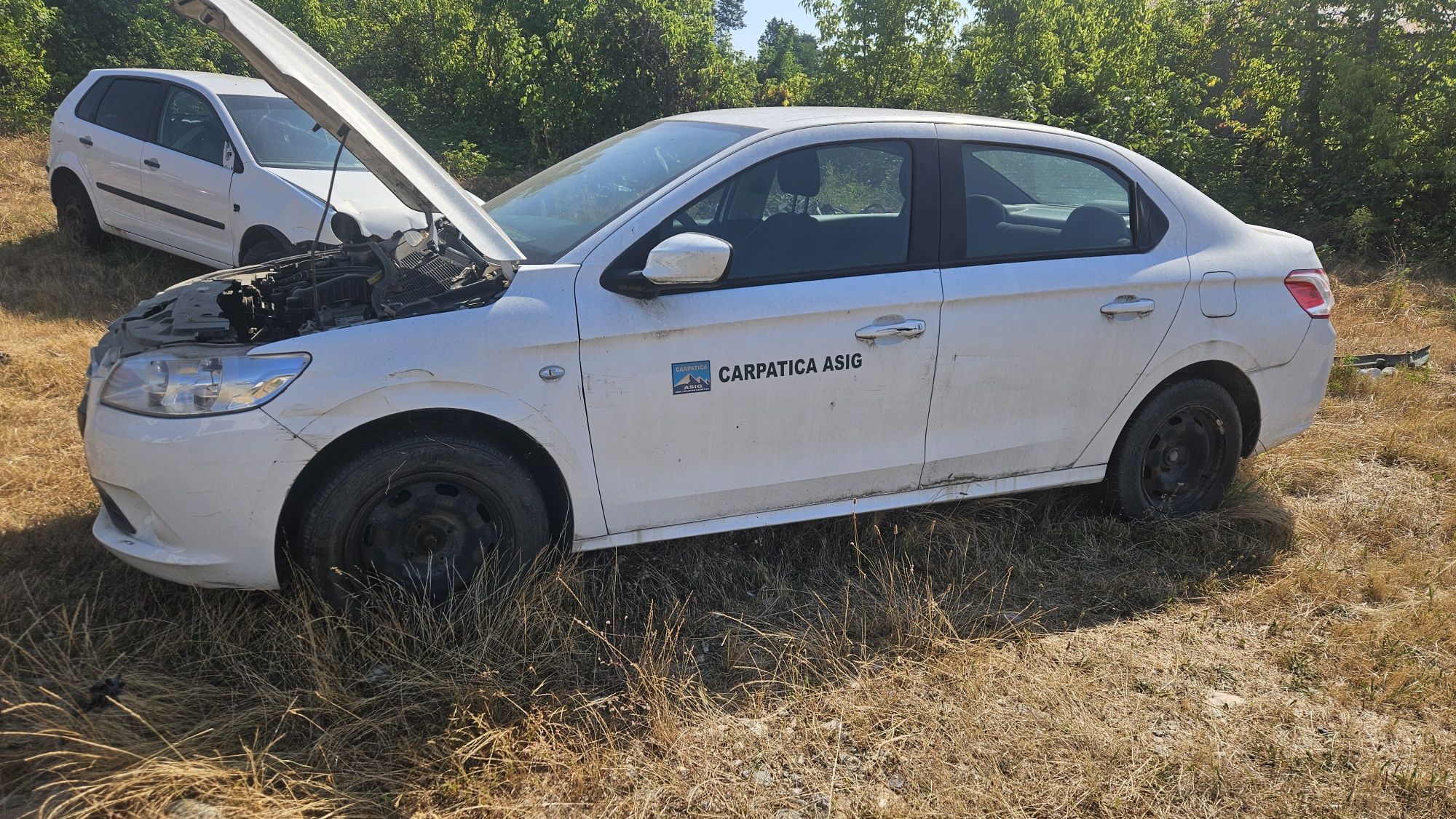 Peugeot 301. An 2013