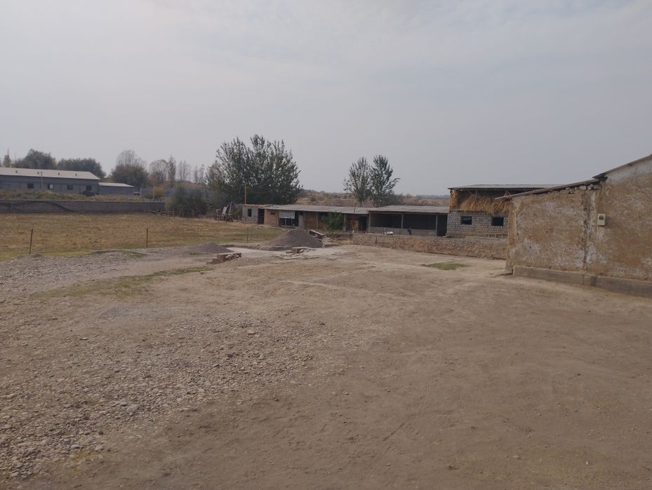 3xonali kafolati bilan