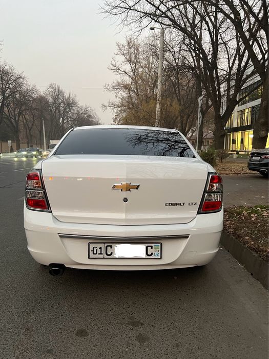 Cobalt midnight 24/25