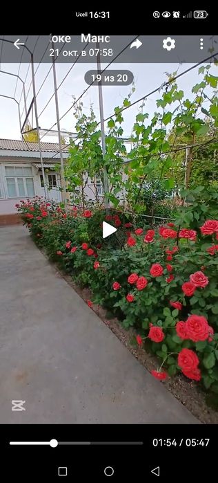 Ховли сотилади 15 сотих янгибозорда юқори чирчиқда