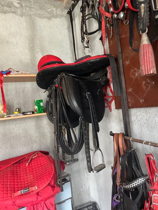 Hamuri din piele pentru cai si alte accesorii