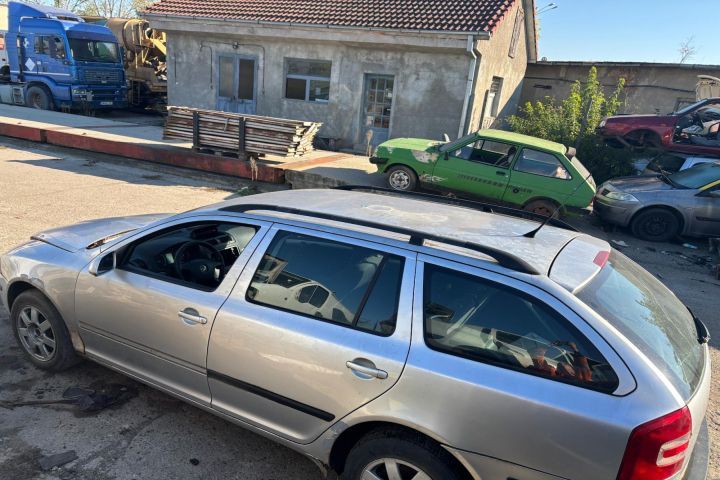 Broasca usa spate dreapta Skoda Octavia a 2-a generatie