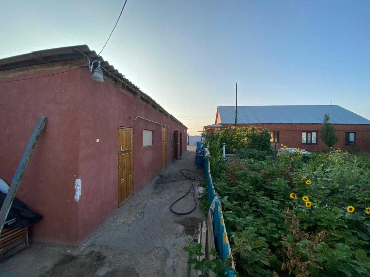 Отличные соседи, отличная цена.