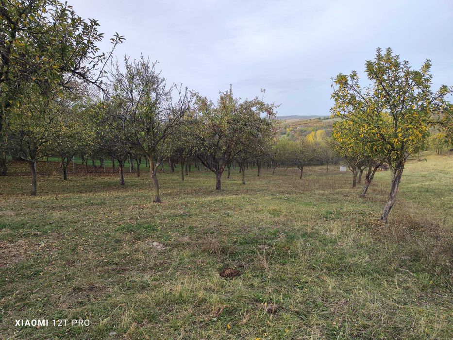 Teren de vanzare langa Zalau, loc. Hereclean