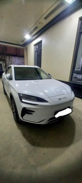 Byd song plus champion