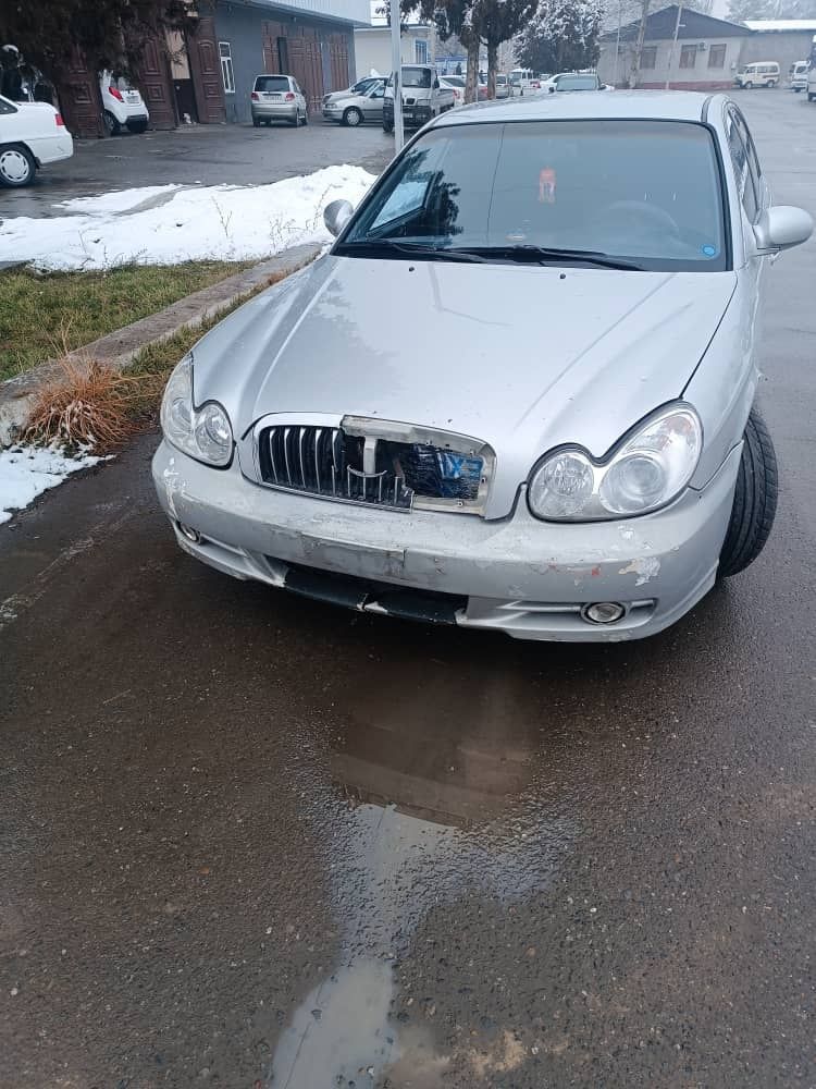 Hyundai sonata зайчик 2002й