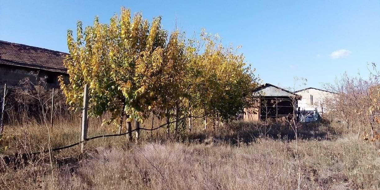 Продава се Парцел в Свиленград - 4240 кв.м за 38 €/кв.м - Снимка #6