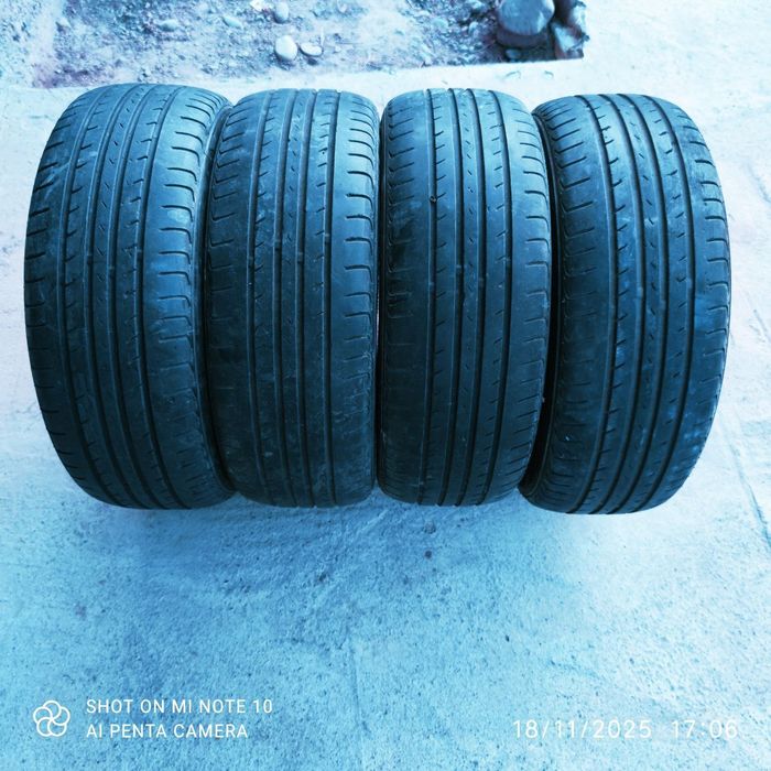 Нехия 3 родной балон