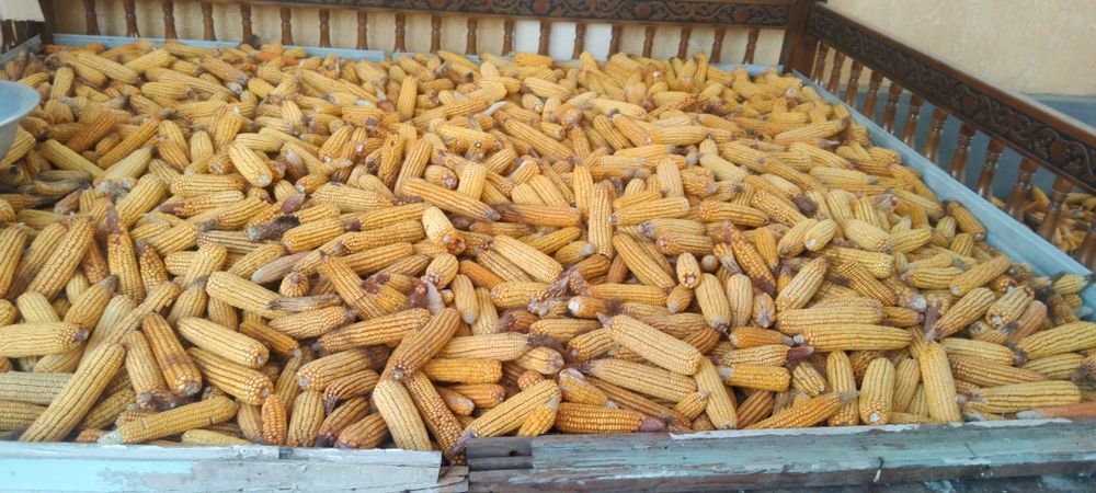 жухори сўтаси билан