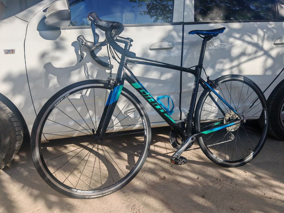 Giant contend sl