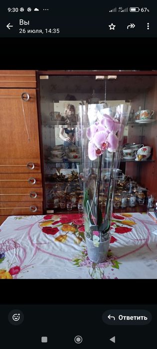 Продам стенку из трёх шкафов.Отдам даром.