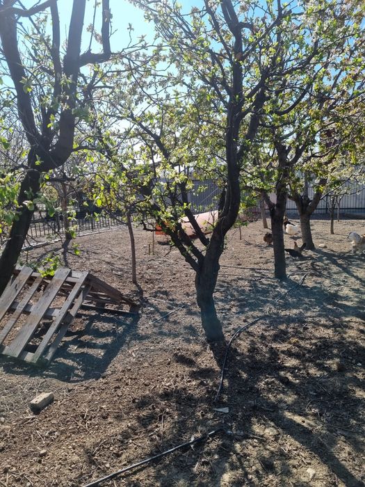 Vand teren intravilan focsani, utilitati