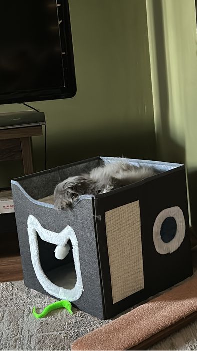 Продам пентхаус для кошек