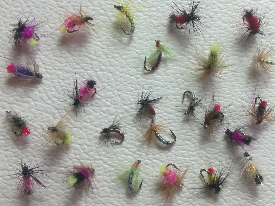 Muste si Țaparine pescuit avat, clean, oblete, biban, scrumbie, macrou